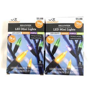 Halloween Led Mini Lights Purple Green Orange 2 Packs Home Decor Indoor Ourdoor